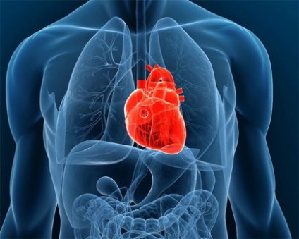 Трансплантація серця і пам'яті чи можливо це цікаве в інтернеті