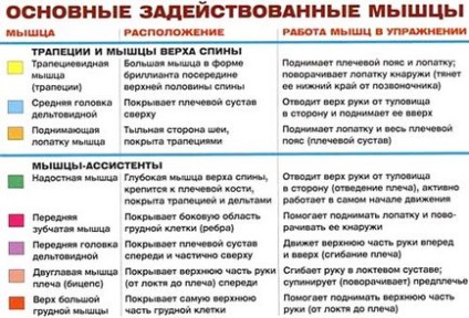 Тяга штанги до підборіддя, блог макса Обухова, грамотний тренінг від а до я