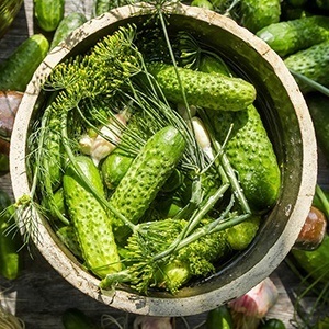 Dill - mágikus és gyógyító tulajdonságait fűszerek - minden anyag - • zonatigra • (gyógyítás) Dill - mágikus és gyógyító tulajdonságait fűszerek - minden anyag - • • zonatigra