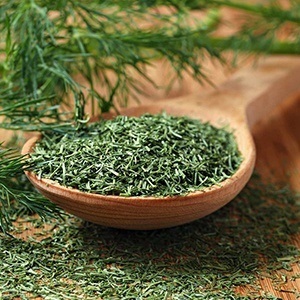 Dill - mágikus és gyógyító tulajdonságait fűszerek - minden anyag - • zonatigra • (mágikus) Dill - mágikus és gyógyító tulajdonságait fűszerek - minden anyag - • • zonatigra