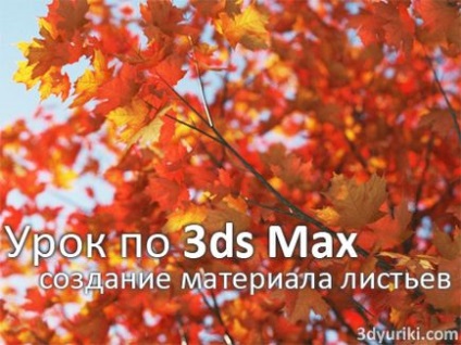 Lecția 3ds max vray Crearea materialului din două fețe de frunze, copaci