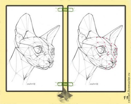 Grafica de lecții construind un cap de pisică - târg de maeștri - manual, manual