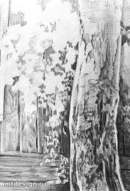 Lecții de pictură - birches sub fereastră (lecții) Lecții de pictură - birches sub fereastră