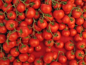 Soiuri de tomate recoltate pentru pregătirea solului pentru plantare