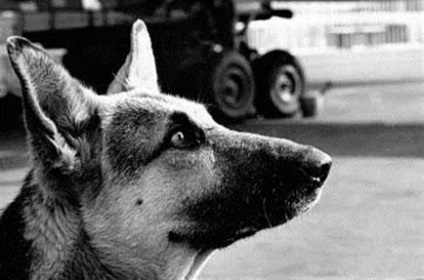Elveszett az emberiség történetében a Szovjetunió 40 évvel később (úgy „Poteryashka” lehet dobni) Elveszett az emberiség történetében a Szovjetunió 40 évvel később