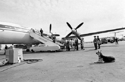 Elveszett az emberiség történetében a Szovjetunió 40 évvel később (liba kegyetlenség ... bocs) Elveszett az emberiség történetében a Szovjetunió 40 évvel később