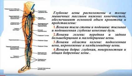 Узі глибоких вен нижніх кінцівок, артерій і судин підготовка до обстеження, діагностика