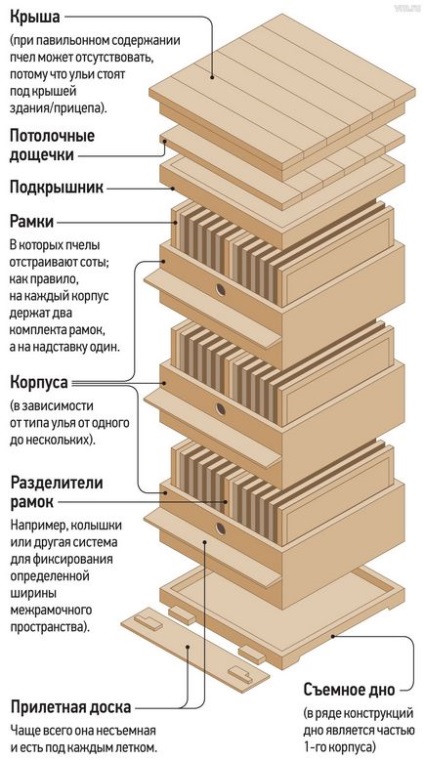 Вечірня москва - ніби медом намазано