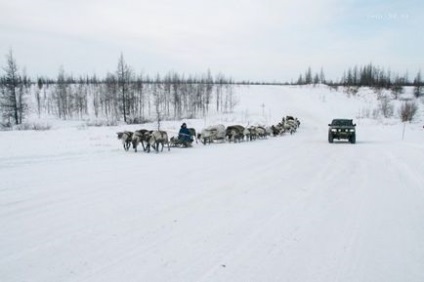 Вибираємо позашляховик для подорожей, немодний клуб