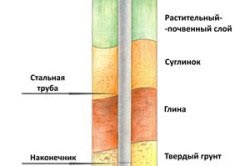 Види паль армування, різновиди