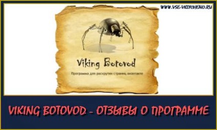 Viking botovod - recenzii și opinii despre program, câștiguri pe Internet