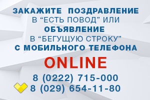 У Могильові збирають кошти на притулок для бездомних котів