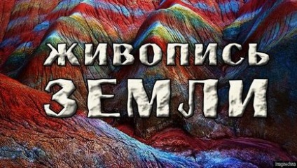 У Могильові збирають кошти на притулок для бездомних котів