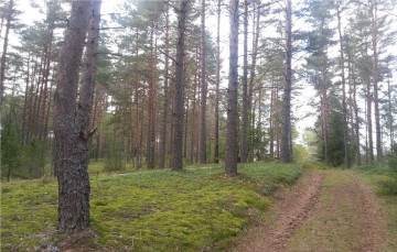 Вселуг, парк-готель, комфортний відпочинок для сім'ї, рибалка, турфірма еко-компас