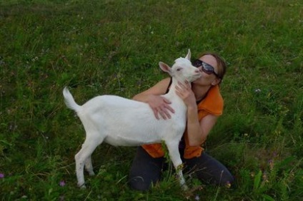 Toată speranța pentru capre sau vacanțe în fermă, revista lookbio pentru cei care caută bio