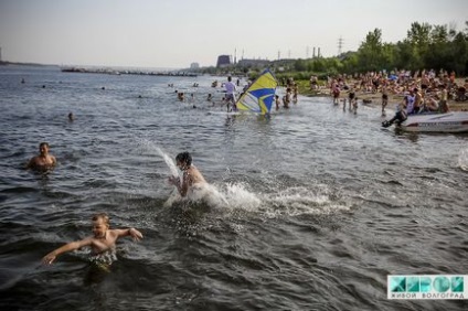 У Волгограді буде всього 4 пляжі - живий волгоград