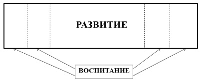 Взаємозв'язок розвитку і виховання