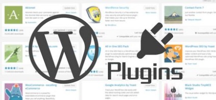 Wordpress plug-in de dezvoltare