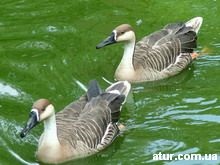 Kharkov State Zoological Park