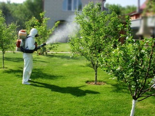 Хімічні методи боротьби з комахами-шкідниками рослин в саду