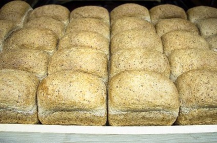 Pâine din germeni de grâu