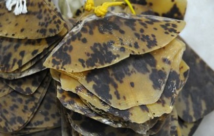 Japán termékek teknősbékahéjjal