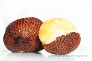 Snakefruit hering, descriere și proprietăți, comentarii și comentarii