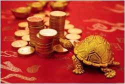 Valoarea și utilizarea mascotei de broască țestoasă