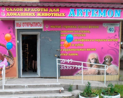 Pet szőrtelenítés szolgáltatások Artemon szakmai fodrászati ​​szolgáltatások állatok számára