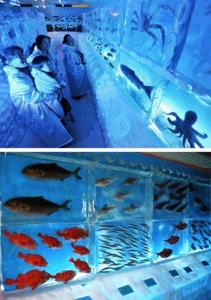 12 Самих класних акваріумів