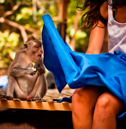 15 Imagini fantastice făcute la momentul potrivit