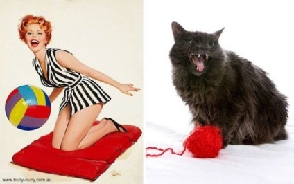 30 Приголомшливий кішок, які позують краще дівчат