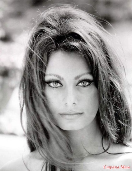 8. szépség Sophia Loren szabályzat (mindig jól néz ki) 8 szabályok szépség Sophia Loren