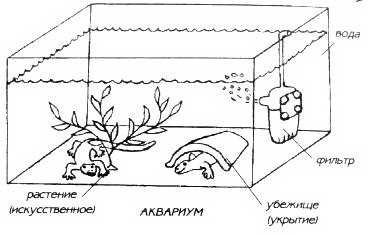 Акваріум і тераріум