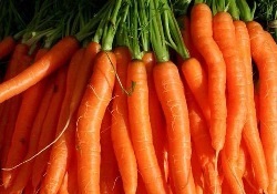 Alergii la carotenul doom englezul la deficitul de vitamine cronice ➤ portal medical «