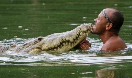 Alligator esőköpenyek mutatják Chito