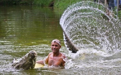 Alligator esőköpenyek mutatják Chito