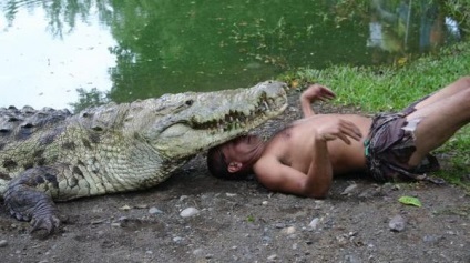 Alligator esőköpenyek mutatják Chito