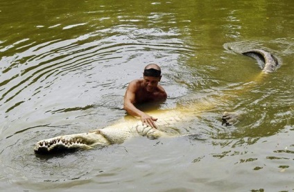 Alligator esőköpenyek mutatják Chito