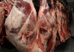 Автолиз м'яса - м'ясо і спеції
