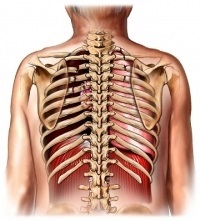 Болка в левия и десния край на причините, лечението на болка в ребрата пред и зад