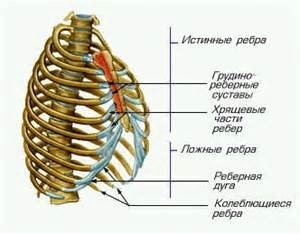 Болка в левия и десния край на причините, лечението на болка в ребрата пред и зад
