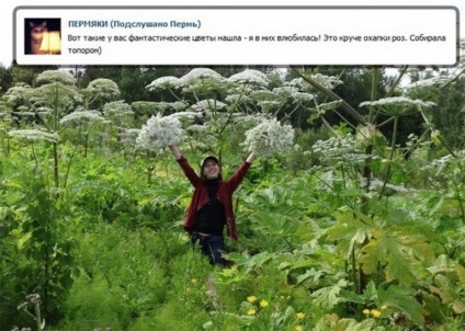 Borshevikul câștigă victoria în Rusia (13 fotografii)