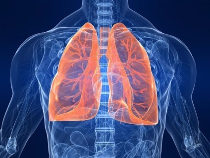 Bronchitis tünetek kezelésére emberek jogorvoslatok