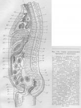 Peritoneum, ghidul medicului