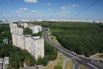 Бутовський парк приведуть в порядок протягом двох років