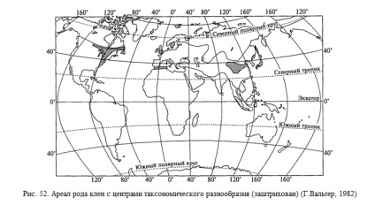 Centre de abundență și varietate de forme taxonomice - stadopedia