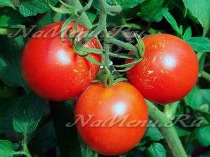 Чим підгодувати розсаду помідорів, щоб були товстенькі