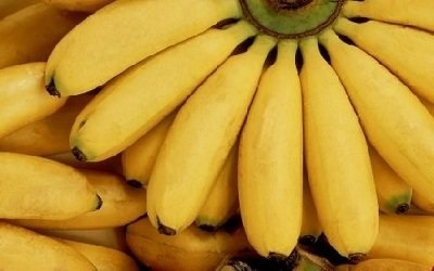 A banán hasznos arc
