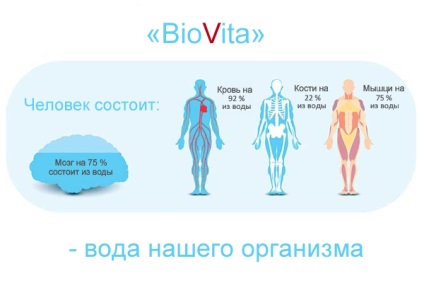 Чим корисна структурована вода biovita